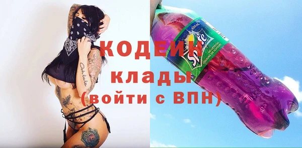 молекула духа Инсар