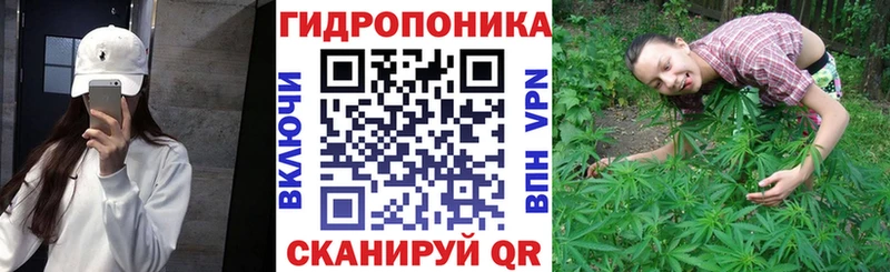 Бошки марихуана VHQ  Славск 